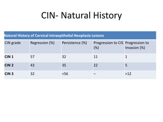 Natural History of Cervical Intraepithelial Neoplasia Lesions
CIN grade Regression (%) Persistence (%) Progression to CIS
(%)
Progression to
Invasion (%)
CIN 1 57 32 11 1
CIN 2 43 35 22 5
CIN 3 32 <56 – >12
CIN- Natural History
 