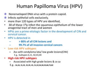 Human Papilloma Virus (HPV)
Nonenveloped DNA virus with a protein capsid.
Infects epithelial cells exclusively.
• more than 120 types of HPV are identified,
• 30 of these 10ly infect the squamous epithelium of the lower
anogenital tract of men and women
• HPVs are a prime etiologic factor in the development of CIN and
cervical cancer.
• HPV is detected in
– > 80% of all CIN lesions and
– 99.7% of all invasive cervical cancers
• Low risk HPV subtypes
– Ass with condyloma lata/ low grade lesions(CINI)
E.g.. Subtypes 6,11, 42,43,44
• High risk HPV subtypes
– Associated with high grade lesions & cx ca
E.g.. 16,18, 31,33, 35,39, 45, 51,52,56,58,59,68,73,82
 