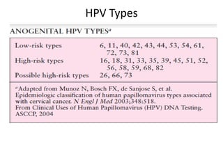 HPV Types
 