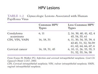 HPV Lesions
 