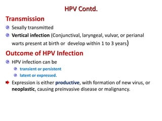 Transmission
Sexally transmitted
Vertical infection (Conjunctival, laryngeal, vulvar, or perianal
warts present at birth or develop within 1 to 3 years)
Outcome of HPV Infection
HPV infection can be
transient or persistent
latent or expressed.
Expression is either productive, with formation of new virus, or
neoplastic, causing preinvasive disease or malignancy.
HPV Contd.
 