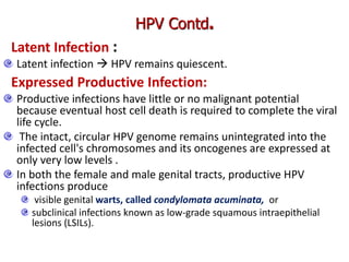Latent Infection :
Latent infection  HPV remains quiescent.
Expressed Productive Infection:
Productive infections have little or no malignant potential
because eventual host cell death is required to complete the viral
life cycle.
The intact, circular HPV genome remains unintegrated into the
infected cell's chromosomes and its oncogenes are expressed at
only very low levels .
In both the female and male genital tracts, productive HPV
infections produce
visible genital warts, called condylomata acuminata, or
subclinical infections known as low-grade squamous intraepithelial
lesions (LSILs).
HPV Contd.
 