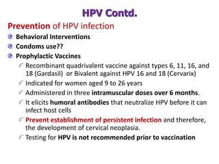 Prevention of HPV infection
Behavioral Interventions
Condoms use??
Prophylactic Vaccines
Recombinant quadrivalent vaccine against types 6, 11, 16, and
18 (Gardasil) or Bivalent against HPV 16 and 18 (Cervarix)
Indicated for women aged 9 to 26 years
Administered in three intramuscular doses over 6 months.
It elicits humoral antibodies that neutralize HPV before it can
infect host cells
Prevent establishment of persistent infection and therefore,
the development of cervical neoplasia.
Testing for HPV is not recommended prior to vaccination
HPV Contd.
 
