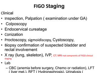 FIGO Staging
Clinical
• Inspection, Palpation ( examination under GA)
• Colposcopy
• Endocervical cureatage
• Conization
• Proctoscopy, sigmoidiscopy, Cystoscopy,
• Biopsy confirmation of suspected bladder and
rectal involvement
• X ray (lung, skeleton), IVP, CT, MRI-not compnents of FIGO clinical
staging
• Lab
– CBC (anemia before surgery, Chemo or radiation), LFT
( liver met.), RFT ( Hydronephrosis), Urinalysis (
 