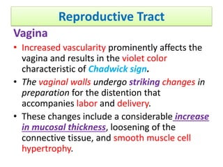Reproductive Tract
Vagina
• Increased vascularity prominently affects the
vagina and results in the violet color
characteristic of Chadwick sign.
• The vaginal walls undergo striking changes in
preparation for the distention that
accompanies labor and delivery.
• These changes include a considerable increase
in mucosal thickness, loosening of the
connective tissue, and smooth muscle cell
hypertrophy.
 