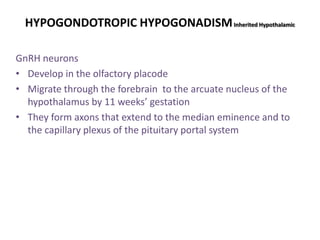 HYPOGONDOTROPIC HYPOGONADISMInherited Hypothalamic
GnRH neurons
• Develop in the olfactory placode
• Migrate through the forebrain to the arcuate nucleus of the
hypothalamus by 11 weeks’ gestation
• They form axons that extend to the median eminence and to
the capillary plexus of the pituitary portal system
 