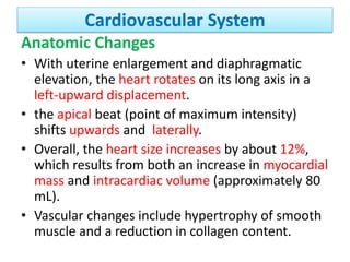 Cardiovascular System
Anatomic Changes
• With uterine enlargement and diaphragmatic
elevation, the heart rotates on its long axis in a
left-upward displacement.
• the apical beat (point of maximum intensity)
shifts upwards and laterally.
• Overall, the heart size increases by about 12%,
which results from both an increase in myocardial
mass and intracardiac volume (approximately 80
mL).
• Vascular changes include hypertrophy of smooth
muscle and a reduction in collagen content.
 
