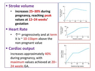  Stroke volume
• increases 25–30% during
pregnancy, reaching peak
values at 12–24 weeks'
gestation
 Heart Rate
• ↑es progressively and at term
it is ~ 10-15bpm above the
non pregnant value
 Cardiac output
increases approximately 40%
during pregnancy, with
maximum values achieved at 20–
24 weeks GA.
 