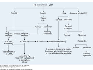 ሳሙኤል በዛብህ ህዳር 2006 ጎንደር 22
 