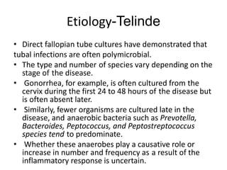 Etiology-Telinde
• Direct fallopian tube cultures have demonstrated that
tubal infections are often polymicrobial.
• The type and number of species vary depending on the
stage of the disease.
• Gonorrhea, for example, is often cultured from the
cervix during the first 24 to 48 hours of the disease but
is often absent later.
• Similarly, fewer organisms are cultured late in the
disease, and anaerobic bacteria such as Prevotella,
Bacteroides, Peptococcus, and Peptostreptococcus
species tend to predominate.
• Whether these anaerobes play a causative role or
increase in number and frequency as a result of the
inflammatory response is uncertain.
 