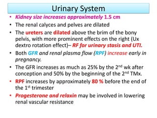 Urinary System
• Kidney size increases approximately 1.5 cm
• The renal calyces and pelves are dilated
• The ureters are dilated above the brim of the bony
pelvis, with more prominent effects on the right (Ux
dextro rotation effect)– RF for urinary stasis and UTI.
• Both GFR and renal plasma flow (RPF) increase early in
pregnancy.
• The GFR increases as much as 25% by the 2nd wk after
conception and 50% by the beginning of the 2nd TMx.
• RPF increases by approximately 80 % before the end of
the 1st trimester
• Progesterone and relaxin may be involved in lowering
renal vascular resistance
 