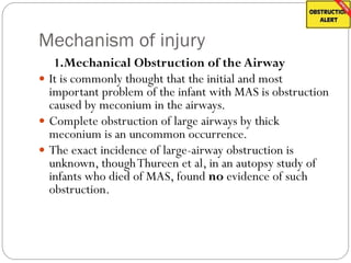 Mechanism of injury
1.Mechanical Obstruction of the Airway
 It is commonly thought that the initial and most
important problem of the infant with MAS is obstruction
caused by meconium in the airways.
 Complete obstruction of large airways by thick
meconium is an uncommon occurrence.
 The exact incidence of large-airway obstruction is
unknown, thoughThureen et al, in an autopsy study of
infants who died of MAS, found no evidence of such
obstruction.
 