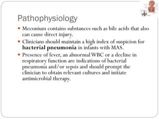 Pathophysiology
 Meconium contains substances such as bile acids that also
can cause direct injury.
 Clinicians should maintain a high index of suspicion for
bacterial pneumonia in infants with MAS.
 Presence of fever, an abnormalWBC or a decline in
respiratory function are indications of bacterial
pneumonia and/or sepsis and should prompt the
clinician to obtain relevant cultures and initiate
antimicrobial therapy.
 
