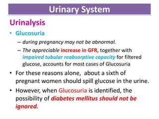 Urinary System
Urinalysis
• Glucosuria
– during pregnancy may not be abnormal.
– The appreciable increase in GFR, together with
impaired tubular reabsorptive capacity for filtered
glucose, accounts for most cases of Glucosuria
• For these reasons alone, about a sixth of
pregnant women should spill glucose in the urine.
• However, when Glucosuria is identified, the
possibility of diabetes mellitus should not be
ignored.
 