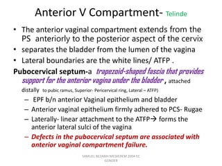 Anterior V Compartment- Telinde
• The anterior vaginal compartment extends from the
PS anteriorly to the posterior aspect of the cervix
• separates the bladder from the lumen of the vagina
• Lateral boundaries are the white lines/ ATFP .
Pubocervical septum-a trapezoid-shaped fascia that provides
support for the anterior vagina under the bladder , attached
distally to pubic ramus, Superior- Pericervical ring, Lateral – ATFP)
– EPF b/n anterior Vaginal epithelium and bladder
– Anterior vaginal epithelium firmly adhered to PCS- Rugae
– Laterally- linear attachment to the ATFP forms the
anterior lateral sulci of the vagina
– Defects in the pubocervical septum are associated with
anterior vaginal compartment failure.
SAMUEL BEZABIH MESKEREM 2004 EC
GONDER
 