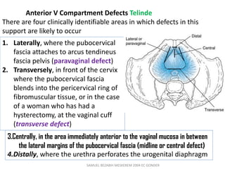 SAMUEL BEZABIH MESKEREM 2004 EC GONDER
1. Laterally, where the pubocervical
fascia attaches to arcus tendineus
fascia pelvis (paravaginal defect)
2. Transversely, in front of the cervix
where the pubocervical fascia
blends into the pericervical ring of
fibromuscular tissue, or in the case
of a woman who has had a
hysterectomy, at the vaginal cuff
(transverse defect)
3.Centrally, in the area immediately anterior to the vaginal mucosa in between
the lateral margins of the pubocervical fascia (midline or central defect)
4.Distally, where the urethra perforates the urogenital diaphragm
Anterior V Compartment Defects Telinde
There are four clinically identifiable areas in which defects in this
support are likely to occur
 