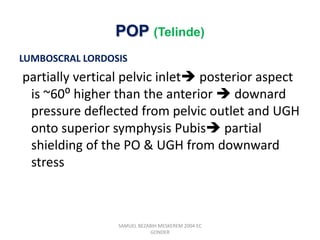 POP (Telinde)
LUMBOSCRAL LORDOSIS
partially vertical pelvic inlet posterior aspect
is ~60⁰ higher than the anterior  downard
pressure deflected from pelvic outlet and UGH
onto superior symphysis Pubis partial
shielding of the PO & UGH from downward
stress
SAMUEL BEZABIH MESKEREM 2004 EC
GONDER
 
