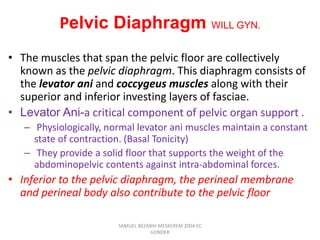 Pelvic Diaphragm WILL GYN.
• The muscles that span the pelvic floor are collectively
known as the pelvic diaphragm. This diaphragm consists of
the levator ani and coccygeus muscles along with their
superior and inferior investing layers of fasciae.
• Levator Ani-a critical component of pelvic organ support .
– Physiologically, normal levator ani muscles maintain a constant
state of contraction. (Basal Tonicity)
– They provide a solid floor that supports the weight of the
abdominopelvic contents against intra-abdominal forces.
• Inferior to the pelvic diaphragm, the perineal membrane
and perineal body also contribute to the pelvic floor
SAMUEL BEZABIH MESKEREM 2004 EC
GONDER
 