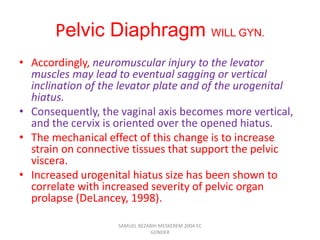 Pelvic Diaphragm WILL GYN.
• Accordingly, neuromuscular injury to the levator
muscles may lead to eventual sagging or vertical
inclination of the levator plate and of the urogenital
hiatus.
• Consequently, the vaginal axis becomes more vertical,
and the cervix is oriented over the opened hiatus.
• The mechanical effect of this change is to increase
strain on connective tissues that support the pelvic
viscera.
• Increased urogenital hiatus size has been shown to
correlate with increased severity of pelvic organ
prolapse (DeLancey, 1998).
SAMUEL BEZABIH MESKEREM 2004 EC
GONDER
 