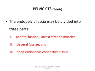 PELVIC CTS (Telinde)
• The endopelvic fascia may be divided into
three parts:
I. parietal fasciae,- invest straited muscles
II. visceral fasciae, and
III. deep endopelvic connective tissue
SAMUEL BEZABIH MESKEREM 2004 EC
GONDER
 