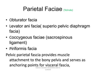 Parietal Faciae (Telinde)
• Obturator facia
• Levator ani facia( superio pelvic diaphragm
facia)
• Coccygeous faciae (sacrospinous
ligament)
• Piriformis facia
Pelvic parietal fascia provides muscle
attachment to the bony pelvis and serves as
anchoring points for visceral fascia,
SAMUEL BEZABIH MESKEREM 2004 EC
GONDER
 