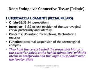 Deep Endopelvic Connective Tissue (Telinde)
1.UTEROSACRLA LIGAMENTS (RECTAL PILLARS)
• Origin-S2,S3,S4 pereostium
• Insertion- 5 &7 oclock position of the supravaginal
cervix posteriorly and laterally
• Contents: US autonomic N plexus, Rectouterine
muscles
• Function: proximal suspension of the uterovaginal
complex
• They hold the cervix behind the urogenital hiatus in
the posterior pelvis at the ischial spines level with the
uterus in anteflexion and the vagina suspended over
the levator plate
SAMUEL BEZABIH MESKEREM 2004 EC
GONDER
 