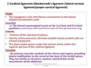 2.Cardinal ligaments (Mackenrodt's ligament /lateral cervical
ligament/proper cervical ligament)
Origin
• The hypogastric root with fibrous connections to the lateral
abdominal and pelvic walls
Insertion
on the lateral supravaginal cervix at the 3-o'clock and 9-o'clock
positions,continuous with and forms part of the pericervical ring.
Cntents
• Portions of the uterosacral plexus.
• Uterine artery and veins, Minimal smooth muscle content with no
named component.
• The distal ureter passes under the uterine artery within the
superior portion of the cardinal ligament
Function
the primary vascular conduits of the uterus and vagina, providing
lateral stabilization to the cervix at the level of the ischial spines.
They are similar in structure, content, and function to the
mesenteries of the abdomen
SAMUEL BEZABIH MESKEREM 2004 EC
GONDER
 