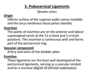 3. Pubocervical Ligaments
(Bladder pillar)
Origin
Inferior surface of the superior pubic ramus medially
and the arcus tendineus fascia pelvis laterally
Insertion
The points of insertion are on the anterior and lateral
supravaginal cervix at the 11-o'clock and 1-o'clock
positions. This insertion is continuous with and forms
part of the pericervical ring.
Vascular component
Artery and veins of the bladder pillar
Function
These ligaments are the least well developed of the
pericervical ligaments, serving as a vascular conduit
and for a minimal degree of cervical stabilization
SAMUEL BEZABIH MESKEREM 2004 EC
GONDER
 