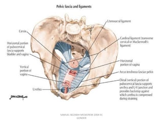 SAMUEL BEZABIH MESKEREM 2004 EC
GONDER
 