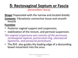 5: Rectovaginal Septum or Fascia
(Denonvilliers' fascia)
Shape:Trapezoidal with the narrow end located distally
Contents: Fibroelastic connective tissue and smooth
muscle
Function
• Posterior vaginal support and suspension,
• stabilization of the rectum, and perineal suspension.
The vaginal suspensory axis consists of the perineum,
rectovaginal septum, pericervical ring, uterosacral
ligaments, and presacral periosteum.
• The RVS also guides the leading edge of a descending
bowel movement into the anus.
SAMUEL BEZABIH MESKEREM 2004 EC
GONDER
 