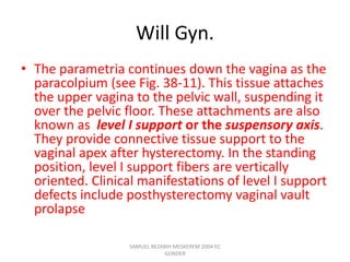 Will Gyn.
• The parametria continues down the vagina as the
paracolpium (see Fig. 38-11). This tissue attaches
the upper vagina to the pelvic wall, suspending it
over the pelvic floor. These attachments are also
known as level I support or the suspensory axis.
They provide connective tissue support to the
vaginal apex after hysterectomy. In the standing
position, level I support fibers are vertically
oriented. Clinical manifestations of level I support
defects include posthysterectomy vaginal vault
prolapse
SAMUEL BEZABIH MESKEREM 2004 EC
GONDER
 