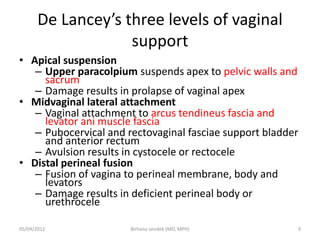 De Lancey’s three levels of vaginal
support
• Apical suspension
– Upper paracolpium suspends apex to pelvic walls and
sacrum
– Damage results in prolapse of vaginal apex
• Midvaginal lateral attachment
– Vaginal attachment to arcus tendineus fascia and
levator ani muscle fascia
– Pubocervical and rectovaginal fasciae support bladder
and anterior rectum
– Avulsion results in cystocele or rectocele
• Distal perineal fusion
– Fusion of vagina to perineal membrane, body and
levators
– Damage results in deficient perineal body or
urethrocele
05/04/2012 9
Birhanu sendek (MD, MPH)
 