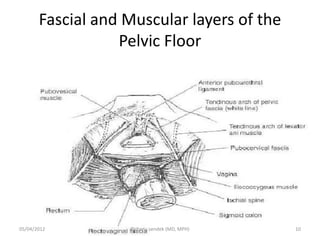 Fascial and Muscular layers of the
Pelvic Floor
05/04/2012 10
Birhanu sendek (MD, MPH)
 