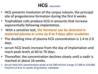 HCG ( WILLIAMS)
• HCG prevents involution of the corpus luteum, the principal
site of progesterone formation during the first 6 weeks.
• Trophoblast cells produce hCG in amounts that increase
exponentially following implantation.
• With a sensitive test, the hormone can be detected in
maternal plasma or urine by 8 to 9 days after ovulation.
• The doubling time of plasma hCG concentration is 1.4 to 2.0
days.
• serum hCG levels increase from the day of implantation and
reach peak levels at 60 to 70 days.
• Thereafter, the concentration declines slowly until a nadir is
reached at about 16 weeks.
• Serum total hCG concentration peaks at 93,598 mIU/mL (range 27,300 to 233,000
mIU/mL) at 8 to 11 weeks of gestation -Uptodate
 