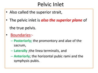 Pelvic Inlet
• Also called the superior strait,
• The pelvic inlet is also the superior plane of
the true pelvis.
• Boundaries:-
– Posteriorly; the promontory and alae of the
sacrum,
– Laterally ;the linea terminalis, and
– Anteriorly; the horizontal pubic rami and the
symphysis pubis.
 