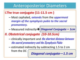 Anteroposterior Diameters
I.The true conjugate (11-11.5 cm )
– Most cephaled, extends from the uppermost
margin of the symphysis pubis to the sacral
promontory.
– Measured indirectly
II. Obstetrical conjugate (10-10.5cm)
– clinically important and the shortest distance between
the sacral promontory and the Symphysis Pubis
– estimated indirectly by subtracting 1.5 to 2 cm
from the DC
Diagonal Conjugate – 1cm
Diagonal conjugate—1.5 cm
 