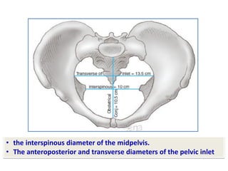 • the interspinous diameter of the midpelvis.
• The anteroposterior and transverse diameters of the pelvic inlet
 