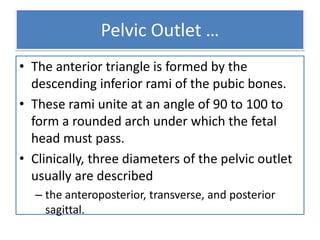 Pelvic Outlet …
• The anterior triangle is formed by the
descending inferior rami of the pubic bones.
• These rami unite at an angle of 90 to 100 to
form a rounded arch under which the fetal
head must pass.
• Clinically, three diameters of the pelvic outlet
usually are described
– the anteroposterior, transverse, and posterior
sagittal.
 