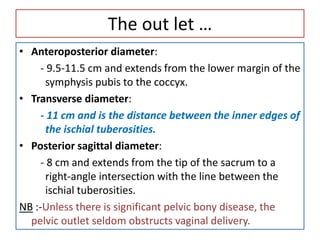 The out let …
• Anteroposterior diameter:
- 9.5-11.5 cm and extends from the lower margin of the
symphysis pubis to the coccyx.
• Transverse diameter:
- 11 cm and is the distance between the inner edges of
the ischial tuberosities.
• Posterior sagittal diameter:
- 8 cm and extends from the tip of the sacrum to a
right-angle intersection with the line between the
ischial tuberosities.
NB :-Unless there is significant pelvic bony disease, the
pelvic outlet seldom obstructs vaginal delivery.
 