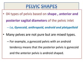• 04 types of pelvis based on shape , anterior and
posterior sagital diameters of the pelvic inlet
– i.e, Gynecoid, anthropoid, android and platypelloid
• Many pelves are not pure but are mixed types.
– For example, a gynecoid pelvis with an android
tendency means that the posterior pelvis is gynecoid
and the anterior pelvis is android shaped.
 