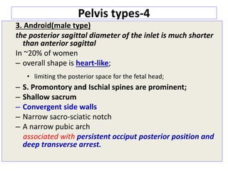 Pelvis types-4
3. Android(male type)
the posterior sagittal diameter of the inlet is much shorter
than anterior sagittal
In ~20% of women
– overall shape is heart-like;
• limiting the posterior space for the fetal head;
– S. Promontory and Ischial spines are prominent;
– Shallow sacrum
– Convergent side walls
– Narrow sacro-sciatic notch
– A narrow pubic arch
associated with persistent occiput posterior position and
deep transverse arrest.
 