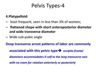 Pelvis Types-4
4.Platypelloid:
– least frequent, seen in less than 3% of women;
– flattened shape with short anteroposterior diameter
and wide transverse diameter
– Wide sub-pubic angle
Deep transverse arrest patterns of labor are commonly
associated with this pelvic type occipito frontal
diametere accommodates it self to the long transverse axis
with no room for rotation anteriorly or posteriorly
 