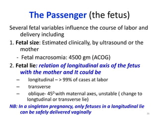 The Passenger (the fetus)
Several fetal variables influence the course of labor and
delivery including
1. Fetal size: Estimated clinically, by ultrasound or the
mother
- Fetal macrosomia: 4500 gm (ACOG)
2. Fetal lie: relation of longitudinal axis of the fetus
with the mother and It could be
– longitudinal – > 99% of cases at labor
– transverse
– oblique- 450 with maternal axes, unstable ( change to
longtudinal or transverse lie)
NB: In a singleton pregnancy, only fetuses in a longitudinal lie
can be safely delivered vaginally 36
 