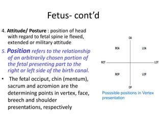Fetus- cont’d
4. Attitude/ Posture : position of head
with regard to fetal spine ie flexed,
extended or military attitude
5. Position refers to the relationship
of an arbitrarily chosen portion of
the fetal presenting part to the
right or left side of the birth canal.
• The fetal occiput, chin (mentum),
sacrum and acromion are the
determining points in vertex, face,
breech and shoulder
presentations, respectively
Posssible positions in Vertex
presentation
 