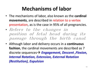 Mechanisms of labor
• The mechanisms of labor, also known as the cardinal
movements, are described in relation to a vertex
presentation, as is the case in 95% of all pregnancies.
• Refers to the changes in
position of fetal head during its
passage through the birth canal.
• Although labor and delivery occurs in a continuous
fashion, the cardinal movements are described as 7
discrete sequences Engagement, Descent ,Flexion,
Internal Rotation, Extension, External Rotation
(Restitution), Expulsion
58
 
