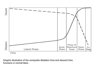 Graphic illustration of the composite dilatation time and descent time
functions in normal labor.
 