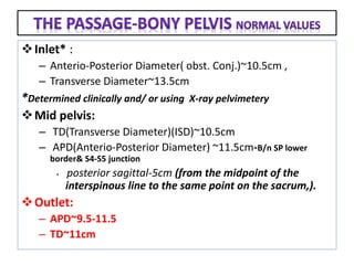 Inlet* :
– Anterio-Posterior Diameter( obst. Conj.)~10.5cm ,
– Transverse Diameter~13.5cm
*Determined clinically and/ or using X-ray pelvimetery
Mid pelvis:
– TD(Transverse Diameter)(ISD)~10.5cm
– APD(Anterio-Posterior Diameter) ~11.5cm-B/n SP lower
border& S4-S5 junction
• posterior sagittal-5cm (from the midpoint of the
interspinous line to the same point on the sacrum,).
Outlet:
– APD~9.5-11.5
– TD~11cm
 