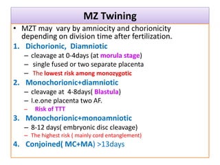 MZ Twining
• MZT may vary by amniocity and chorionicity
depending on division time after fertilization.
1. Dichorionic, Diamniotic
– cleavage at 0-4days (at morula stage)
– single fused or two separate placenta
– The lowest risk among monozygotic
2. Monochorionic+diamniotic
– cleavage at 4-8days( Blastula)
– I.e.one placenta two AF.
– Risk of TTT
3. Monochorionic+monoamniotic
– 8-12 days( embryonic disc cleavage)
– The highest risk ( mainly cord entanglement)
4. Conjoined( MC+MA) >13days
 