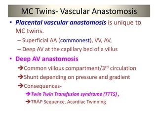 MC Twins- Vascular Anastomosis
• Placental vascular anastomosis is unique to
MC twins.
– Superficial AA (commonest), VV, AV,
– Deep AV at the capillary bed of a villus
• Deep AV anastomosis
Common villous compartment/3rd circulation
Shunt depending on pressure and gradient
Consequences-
Twin Twin Transfusion syndrome (TTTS) ,
TRAP Sequence, Acardiac Twinning
 