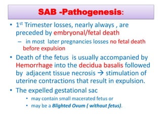 SAB -Pathogenesis:
• 1st Trimester losses, nearly always , are
preceded by embryonal/fetal death
– in most later pregnancies losses no fetal death
before expulsion
• Death of the fetus is usually accompanied by
Hemorrhage into the decidua basalis followed
by adjacent tissue necrosis  stimulation of
uterine contractions that result in expulsion.
• The expelled gestational sac
• may contain small macerated fetus or
• may be a Blighted Ovum ( without fetus).
 